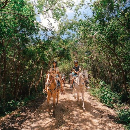 Energy Tulum Holistic Ranch Hotel Exterior photo